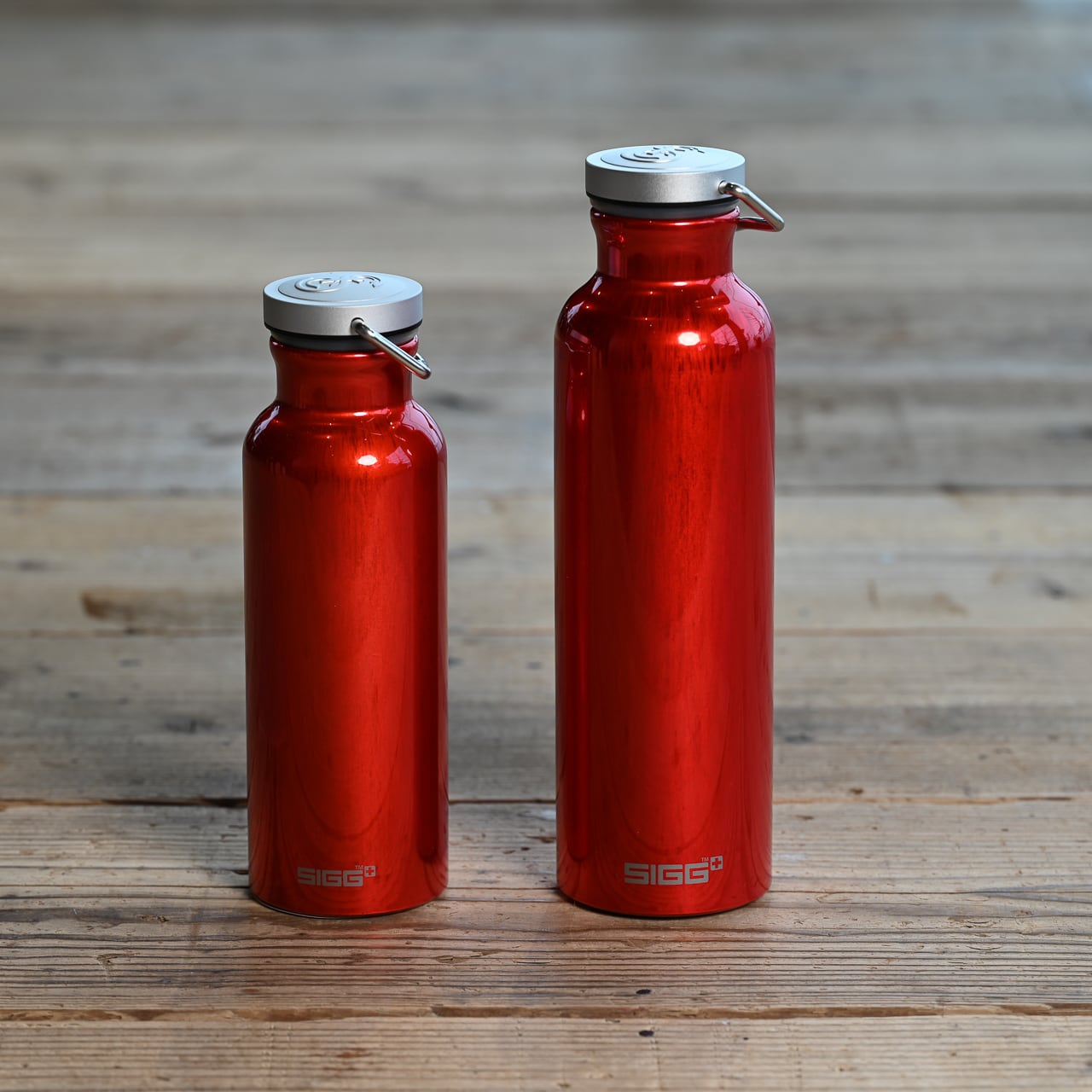 スイス製・エコで軽量なアルミ製ウォーターボトル【0.75L】3色》アルミ