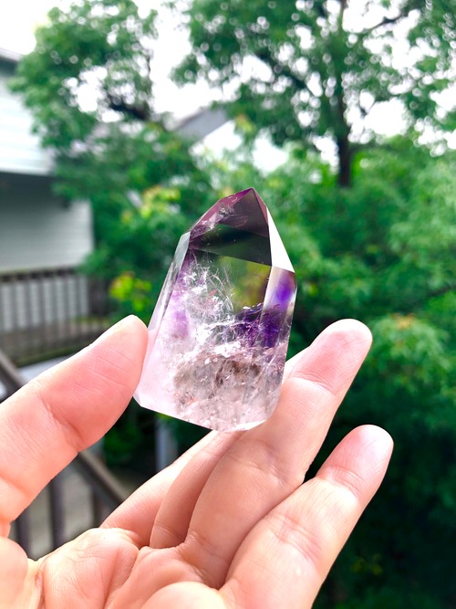 あなたの欲へストイックに進め