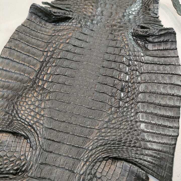 ワニ革（カイマン）【約26cm幅】 C1F-014 ※浅草橋中央店販売商品 | and