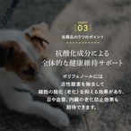 コピー：コピー：コピー：【送料無料】カテキンジャーキー 4個セット｜ 犬用おやつ/ドッグフードのペットフードショップ ホウワ