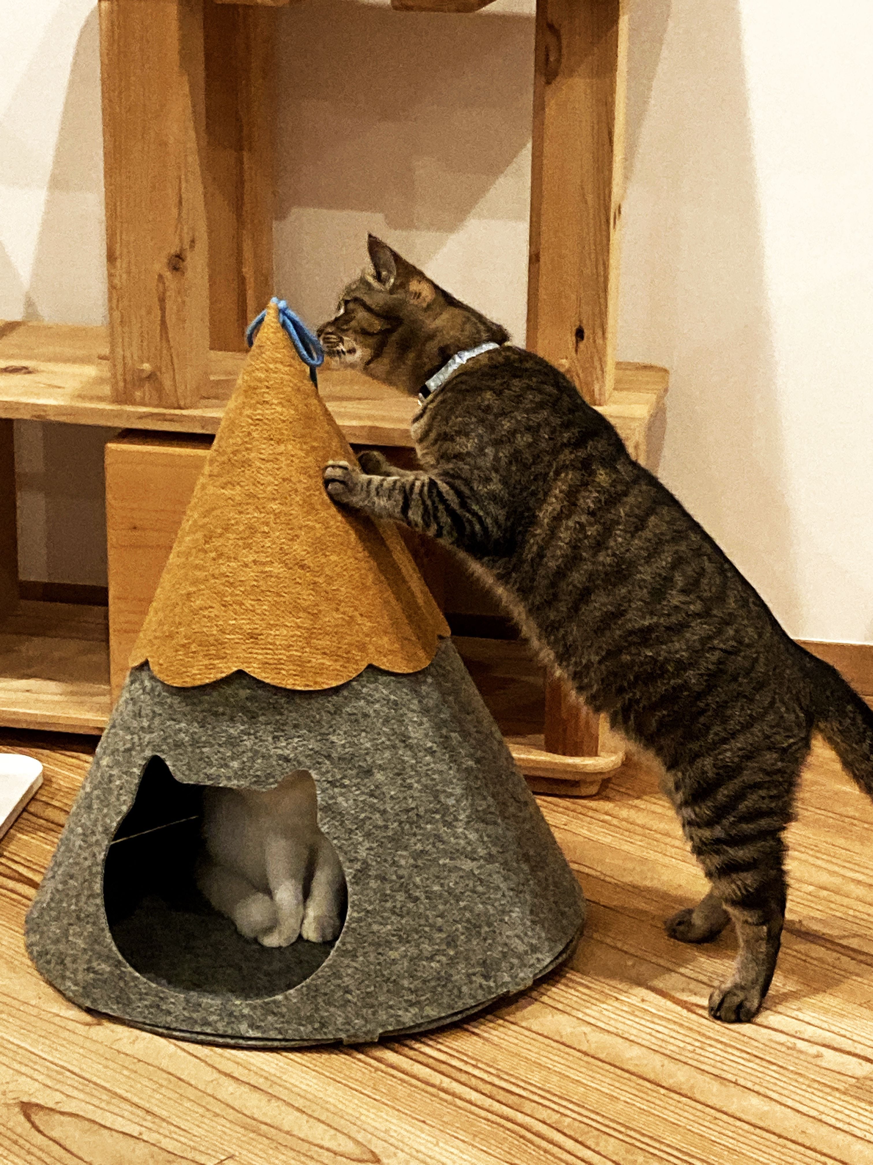 インテリア ネコハウス【にゃろにも】黄・グレー | Non woven world