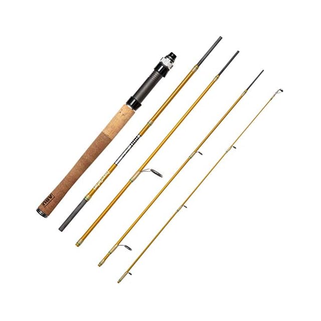 Anglo&company Paragon PG5003 SPINING | Pay ID