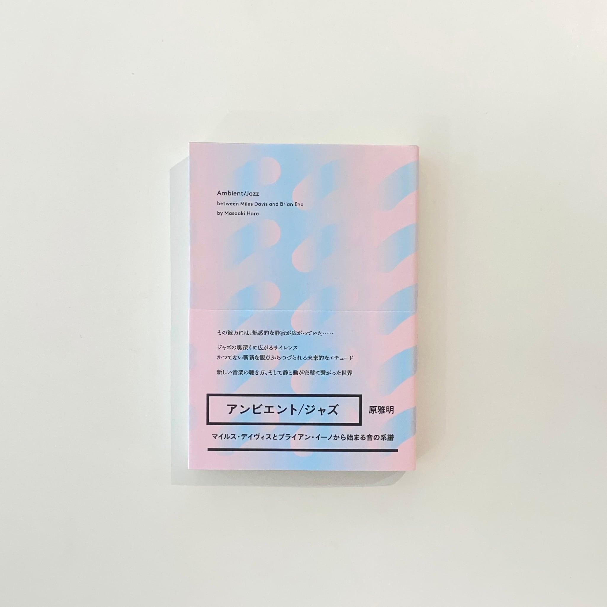 十六夜橋 新版｜石牟礼道子 | 本の栞