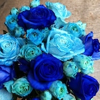 【Bouquet】Blue Rose Bouquet（Premium）