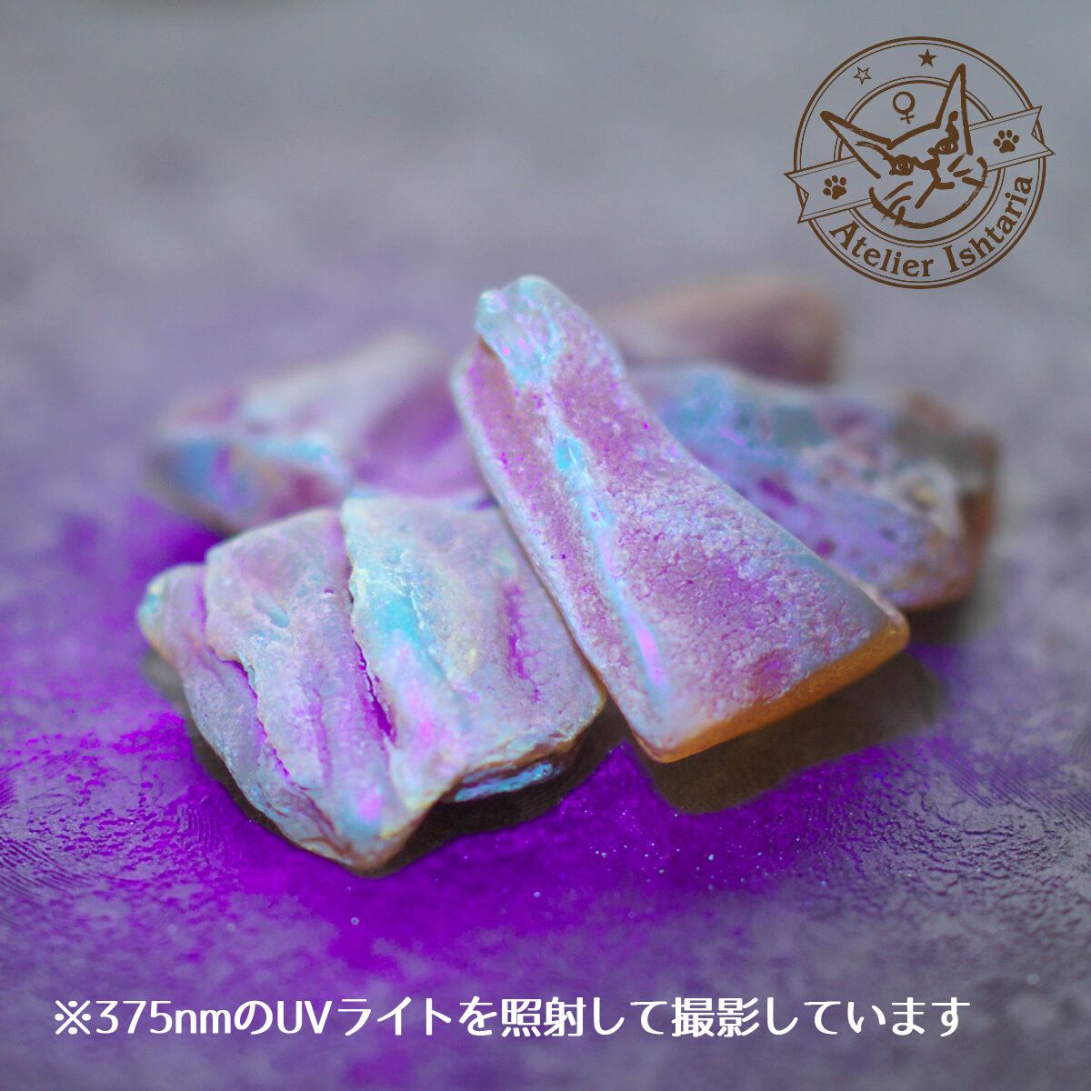 ランダム発送】バルティックアンバー原石 A【ポーランド産】／琥珀