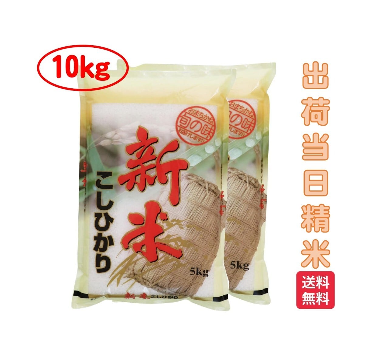 食品 島根県産 令和7年 新米 コシヒカリ 農家直送