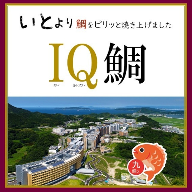 IQ鯛　<化粧箱入>　　九州大学