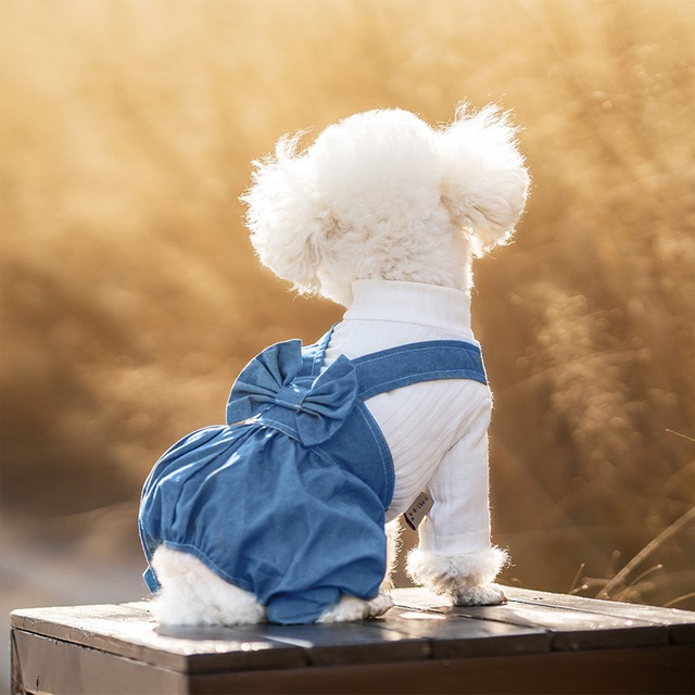 2colorリボン付きデニムバックパンツ[sam300]