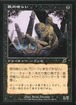 MTG《屍肉喰らい/Carrion Feeder(SCG)》日本語