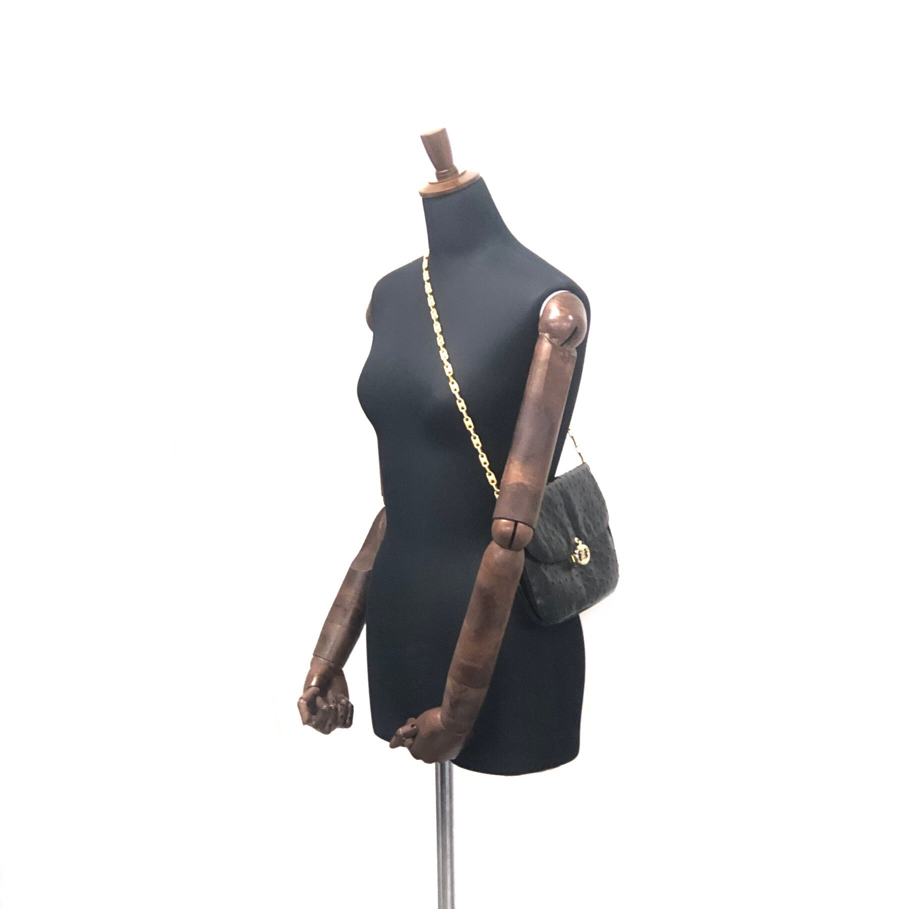 CELINE セリーヌ オーストリッチ トリオンフ金具 レザー CELINE セリーヌ オーストリッチ トリオンフ金具 レザー