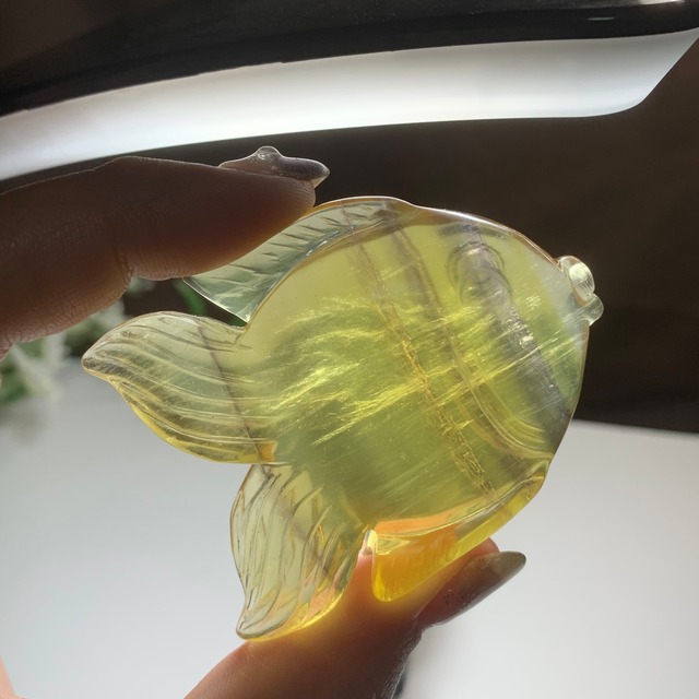 3.海のアニマル♪♪フローライトお魚さん☆ペアセット