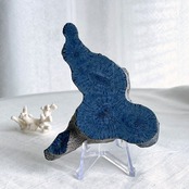 ブルーコーラル＊スラブ＊250807-02＊天然石＊置き物＊インテリアストーン