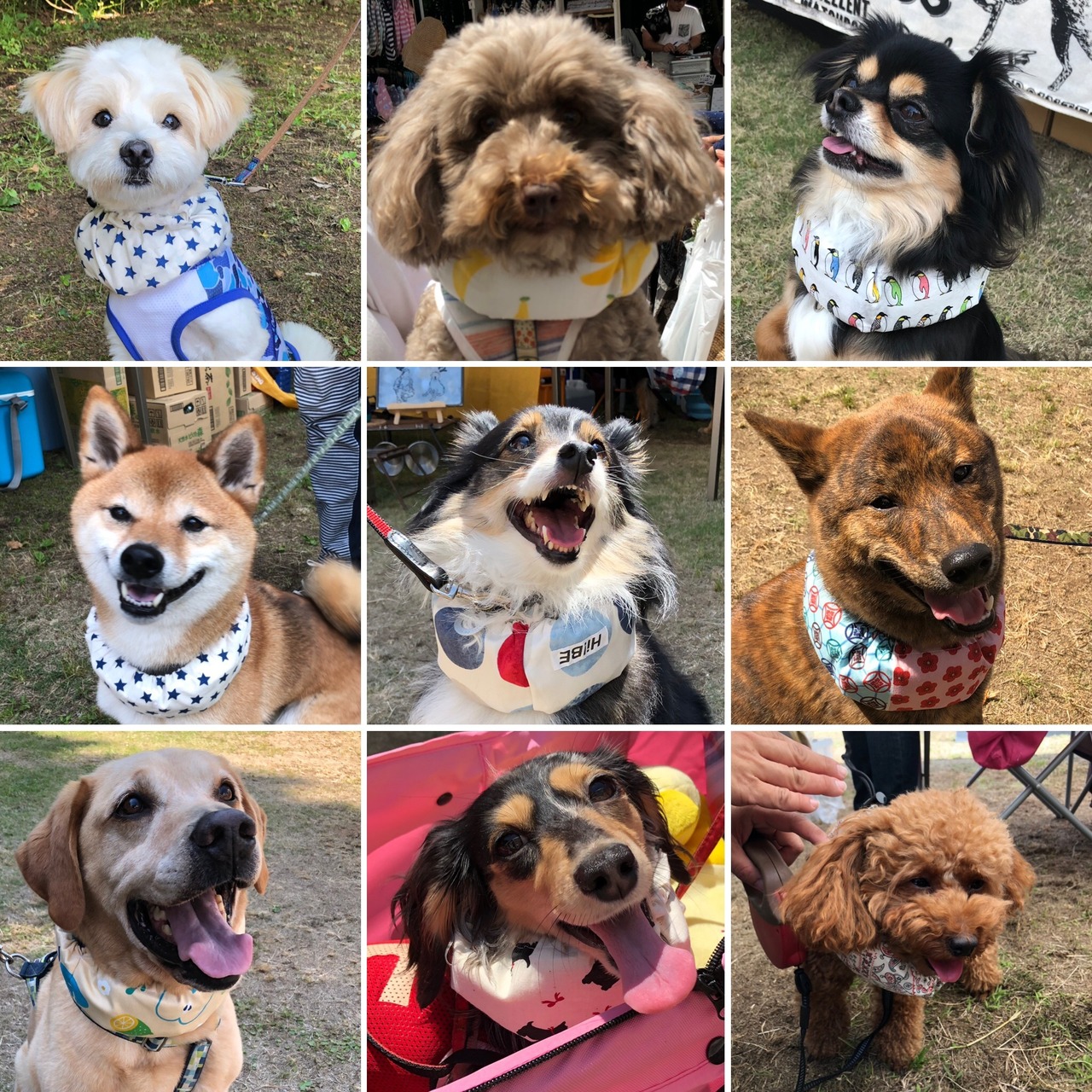 S★4ポケット仕様★ ネッククーラー