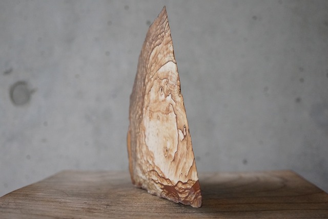 ビッグス・ジャスパー　Biggs Jasper 750