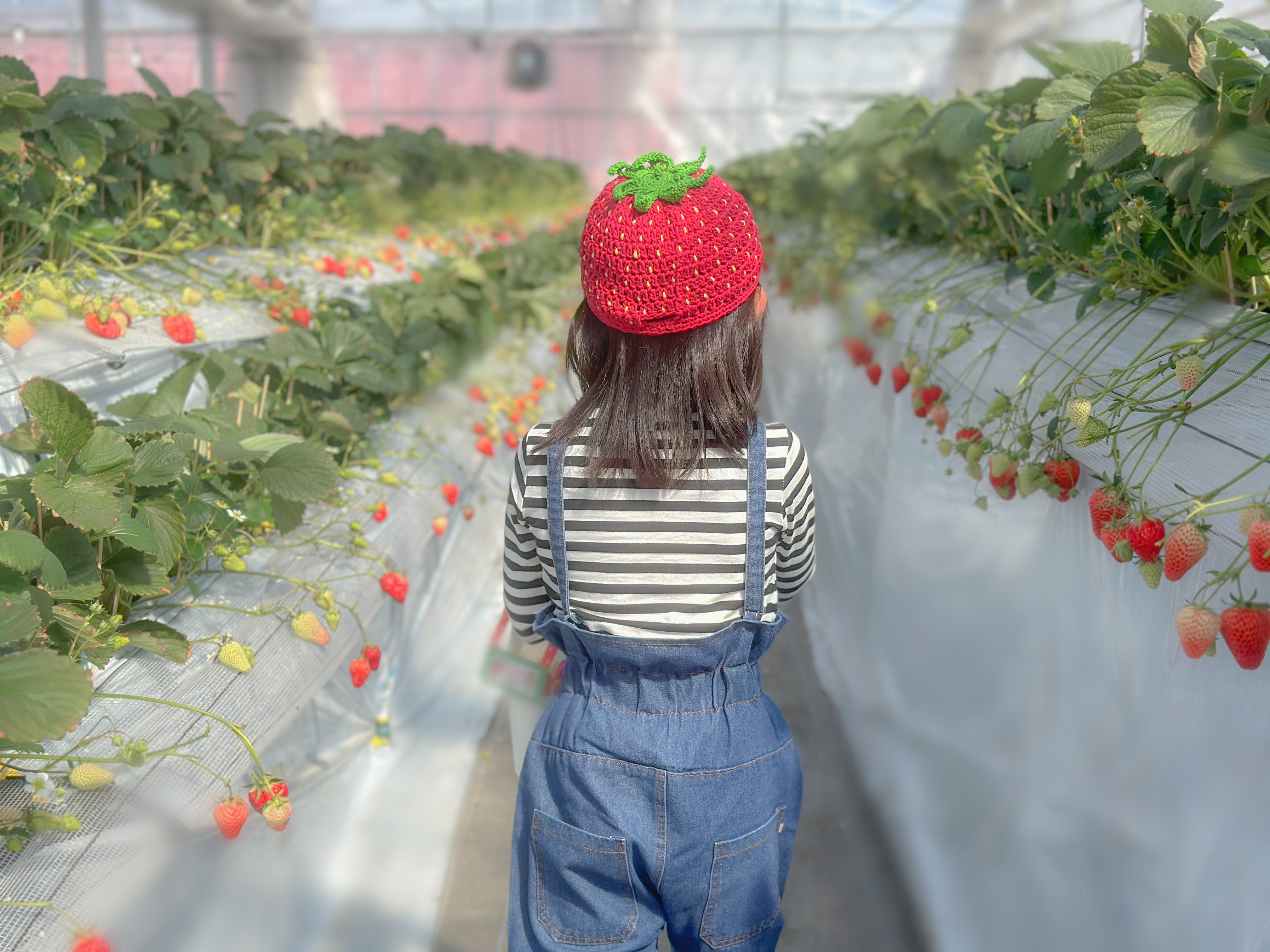 ＊グリーンちゃん＊いちご帽子 全５種 各４点 計20個セット 完熟いちごのキャップ帽子【肌に優しいコットン100％】 | kotomom-knit