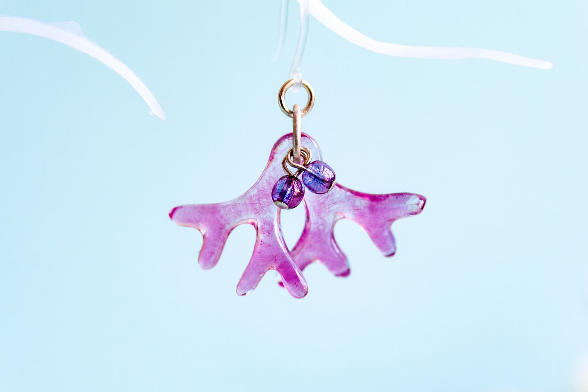 海藻ヒトツマツ(紅色)