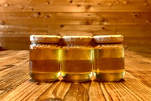 503（2025） -130g-