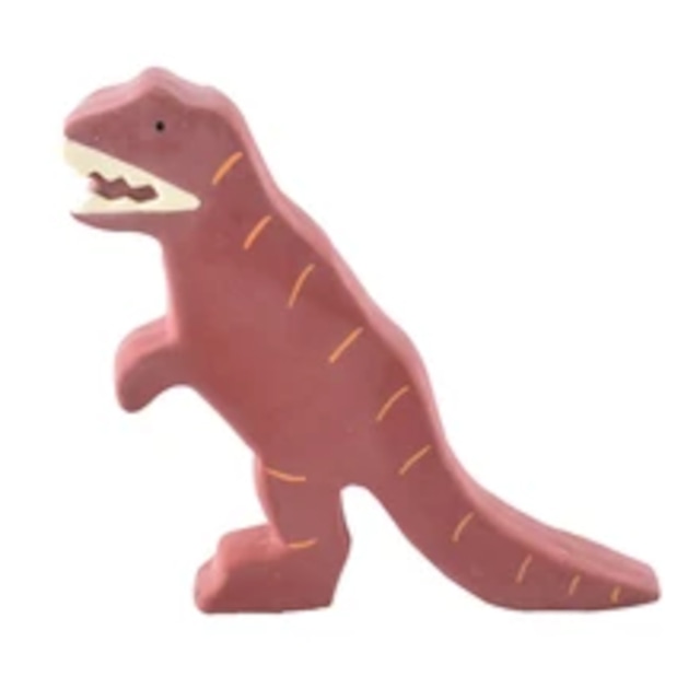 Teethar & Bath Toy T-Rex_93007