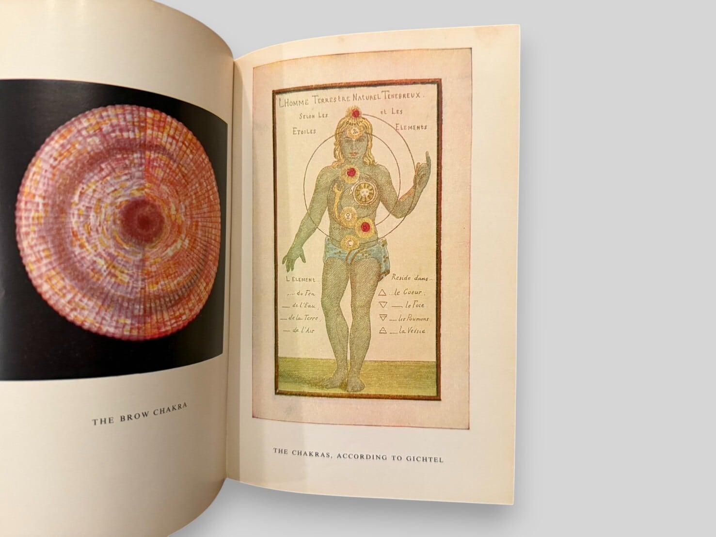 SSO112】【TENTH REPRINT EDITION】The Chakras: A Monograph(1973