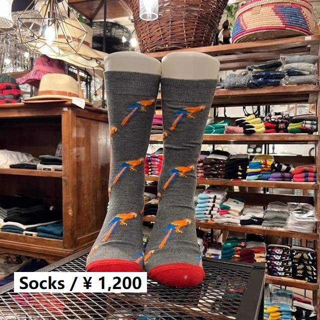 TOPANGA SOCKS Men's　オウムソックス