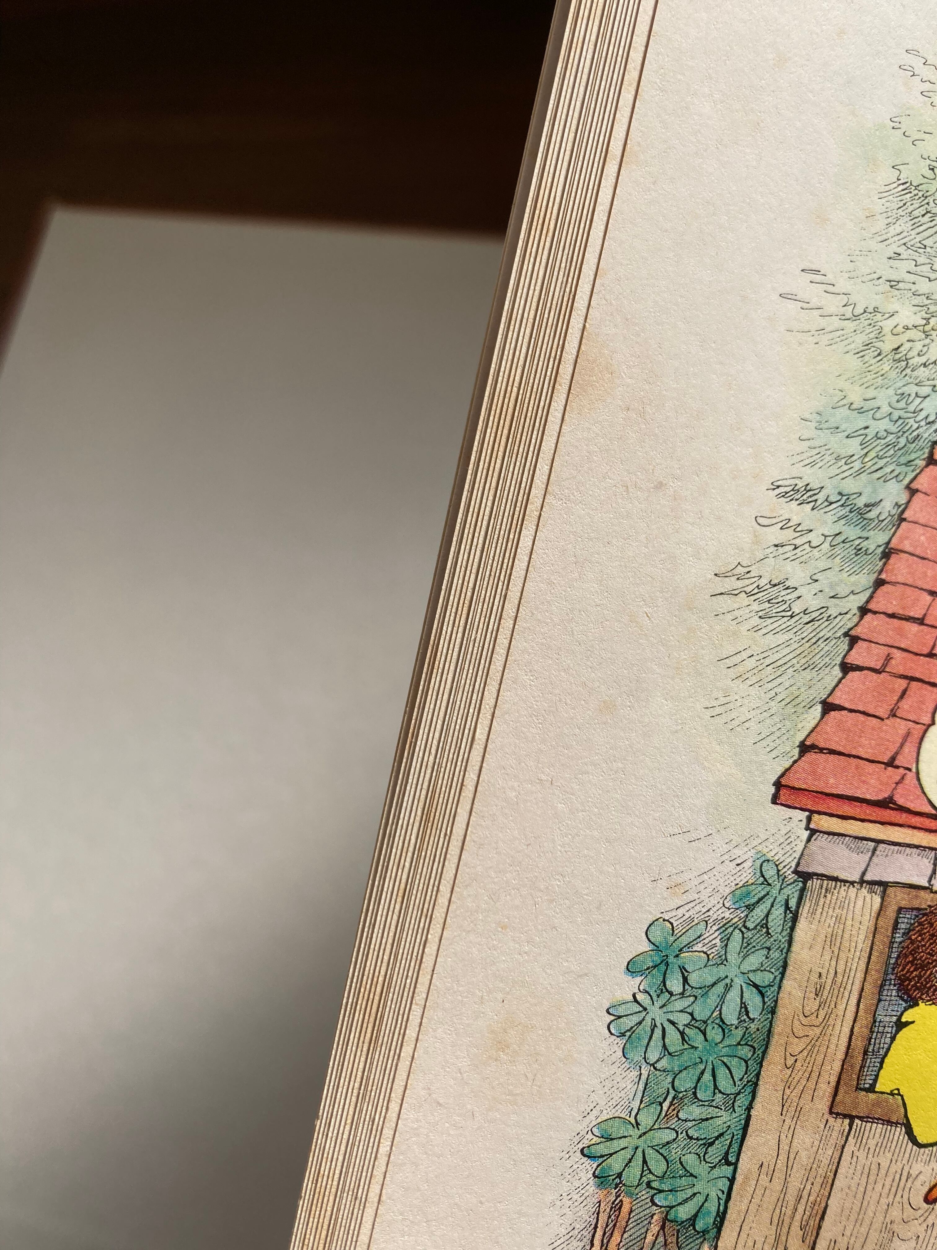 SOME SWELL PUP or Are You Sure You Want a Dog?-Maurice Sendak