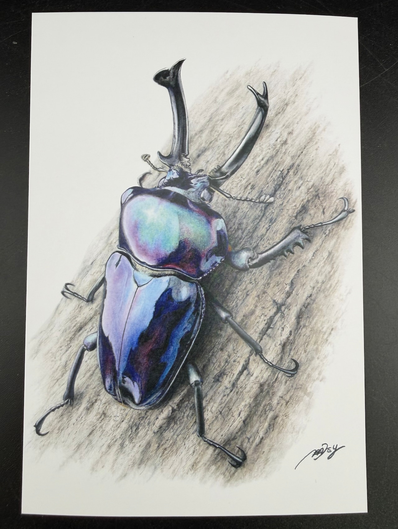 色鉛筆画ポストカードver. 1枚(全12種)