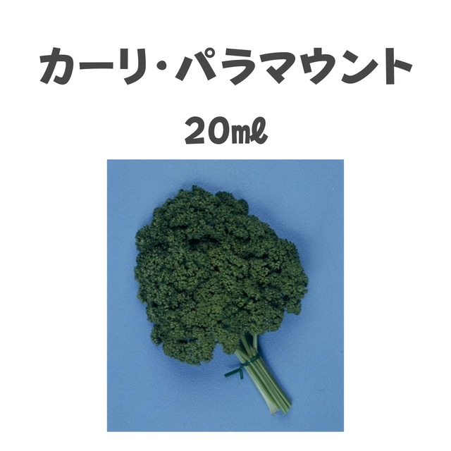 カーリ・パラマウント　パセリ種子・20ml