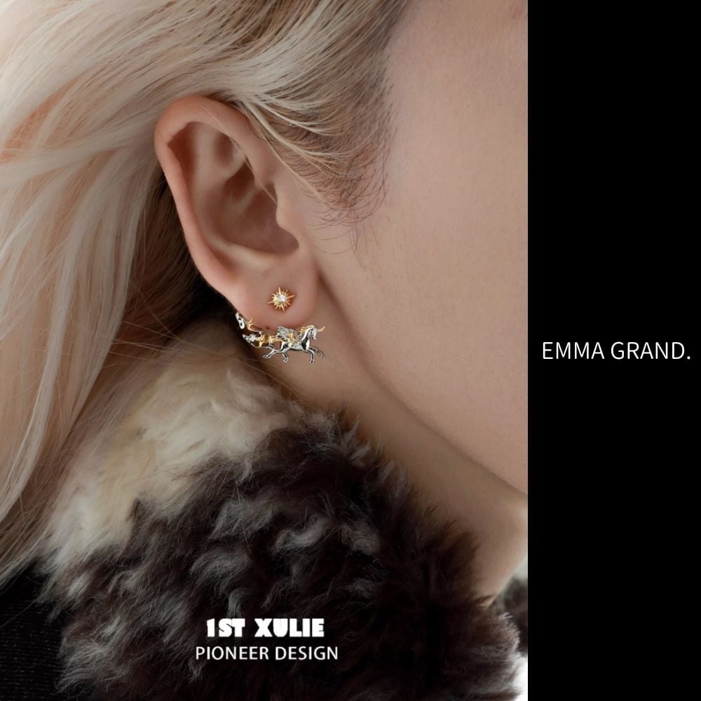 夢空を駆けるペガサスの星巡りピアス E00638 | EMMA GRAND