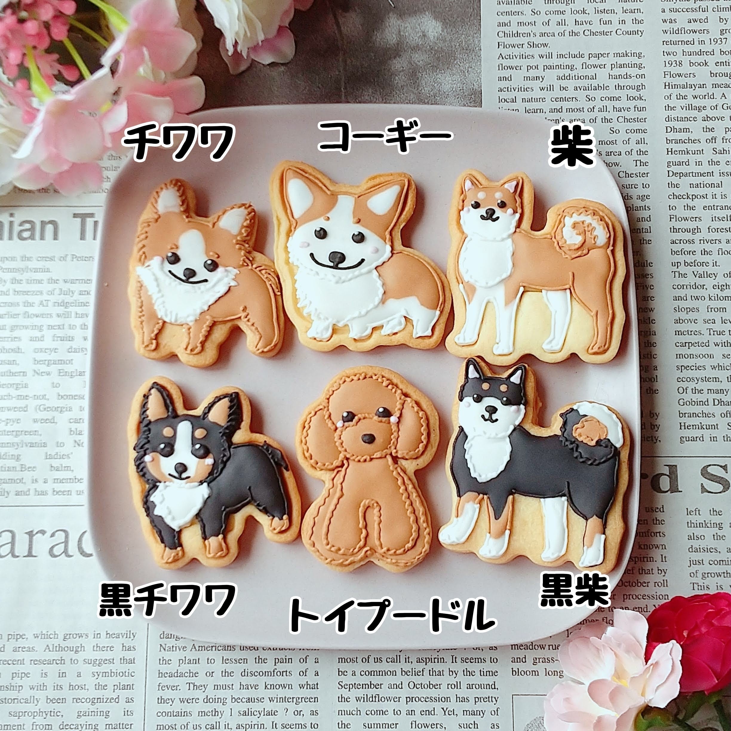 お急ぎ便【単品】ユニコーン　アイシングクッキー３枚セット