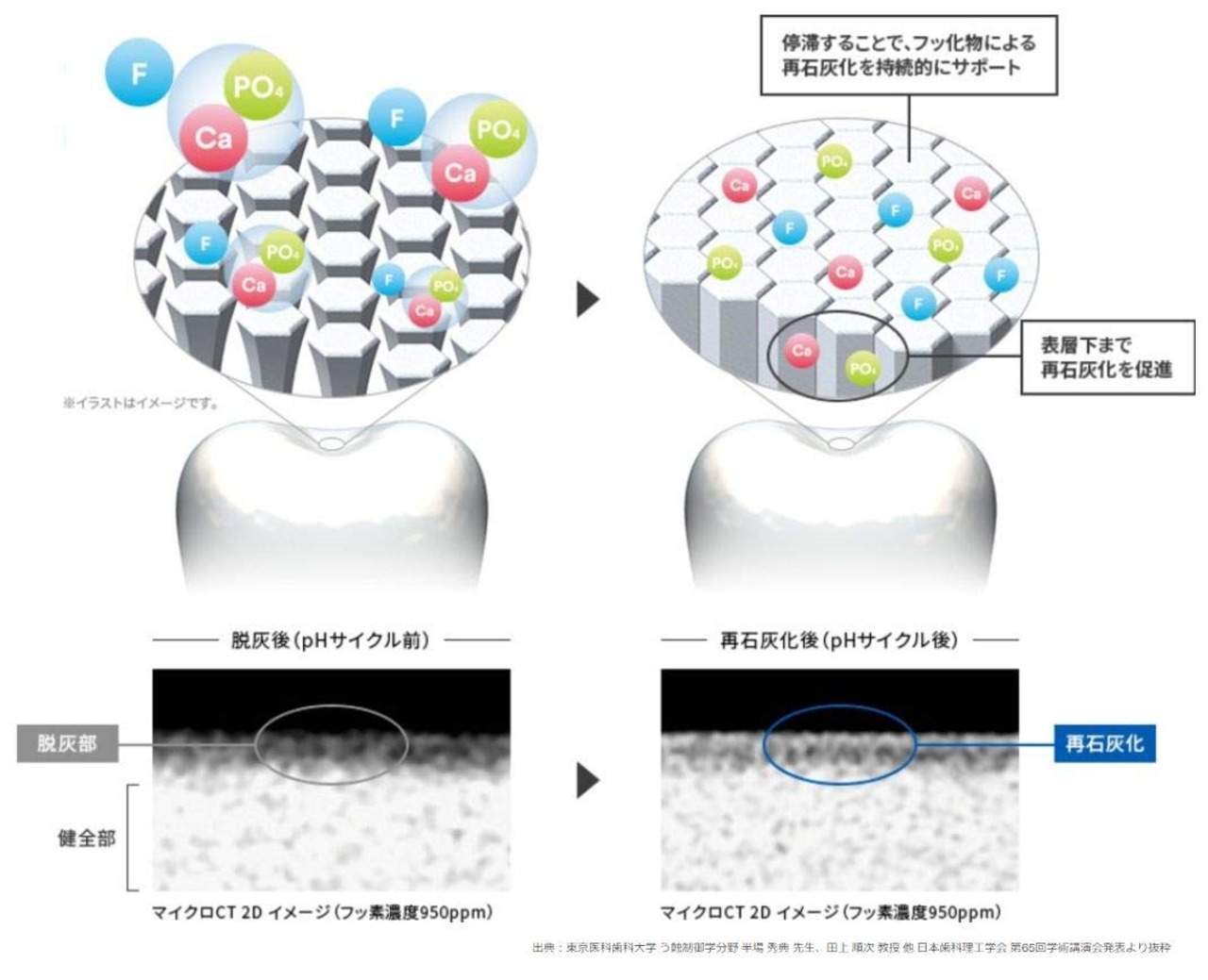 3M クリンプロ 歯みがきペースト F1450 シトラスミントフレーバー 90g ×6本