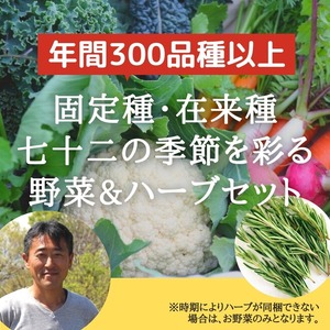 【送料一部のエリア無料】固定種・在来種の季節を彩る野菜セット（2〜4人用） 北海道/北東北/一部中国/四国/九州/沖縄地域は送料別途