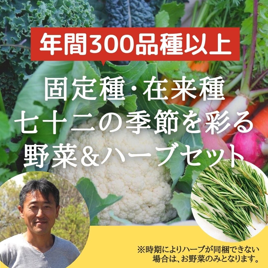 MERCi　MARCHE　【送料一部のエリア無料】固定種・在来種の季節を彩る野菜セット（2〜4人用）　北海道/北東北/一部中国/四国/九州/沖縄地域は送料別途