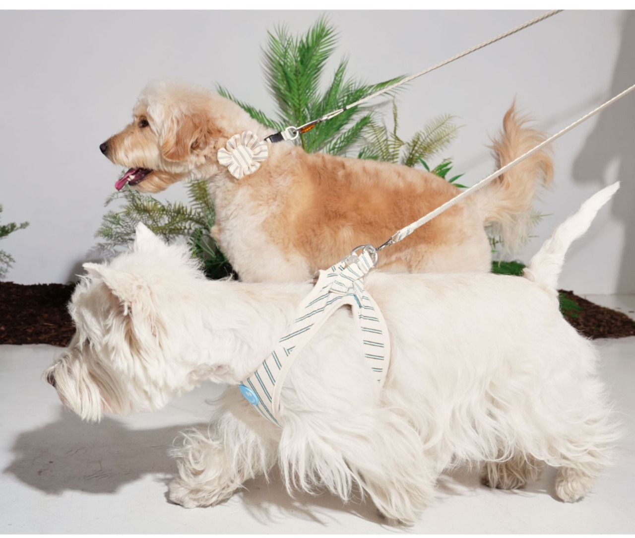 【PUPPYGALLERY公式】ストライプデイジーリード【ベージュ】