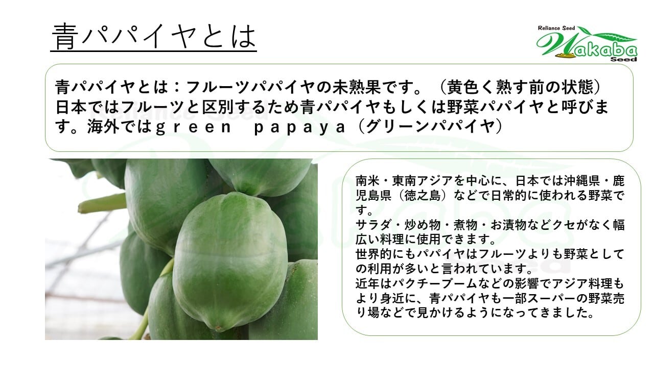 青パパイヤ種子10粒規格「台農1号」 | wakabaseed