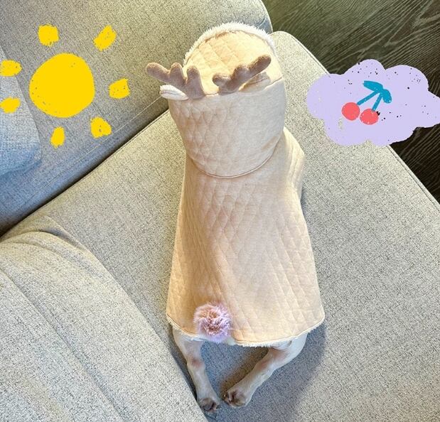 《予約》№1103123 トナカイフードジャケット