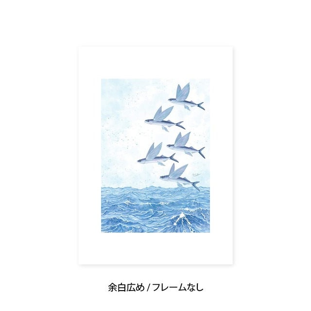 A4｜魚翔海図（ぎょしょうかいず）（フレームなし）