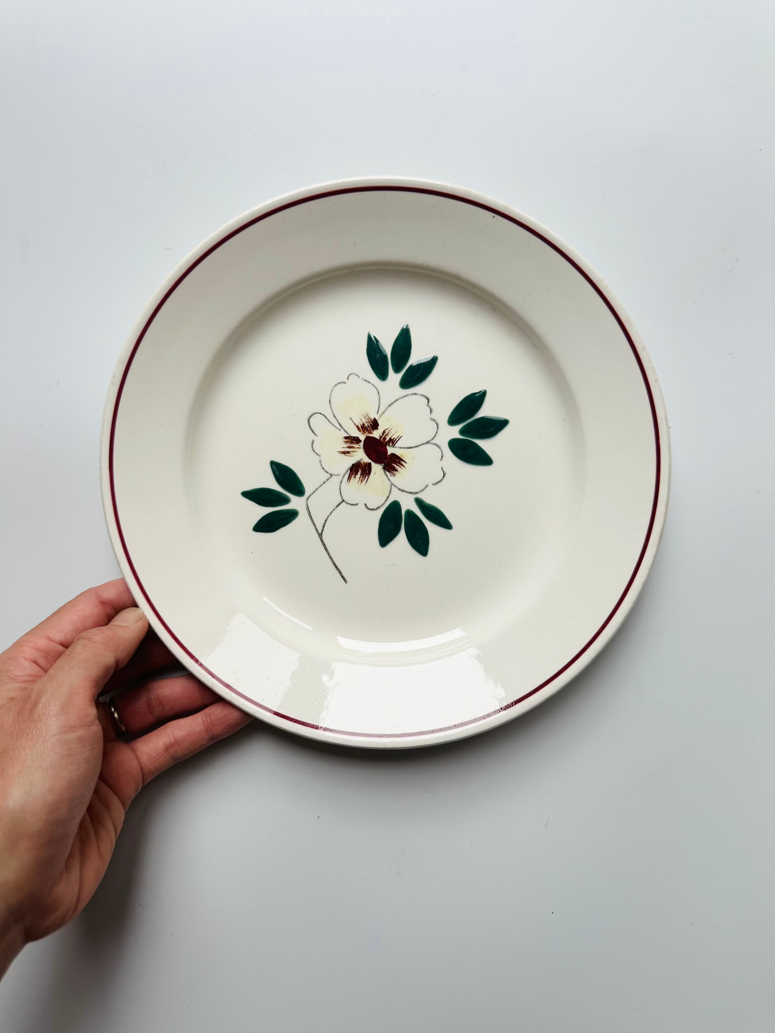 Sarregueminesサルグミンヌ　ゼラニウム　平皿フランス　2枚セット sarreguemines サルグミンヌ ゼラニウム フランス アンティーク