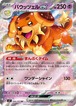 バウッツェルex（プレイ用）