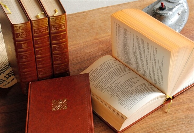 フランス語 洋書5冊セット 古い洋書 ディスプレイ 古書 アンティーク 