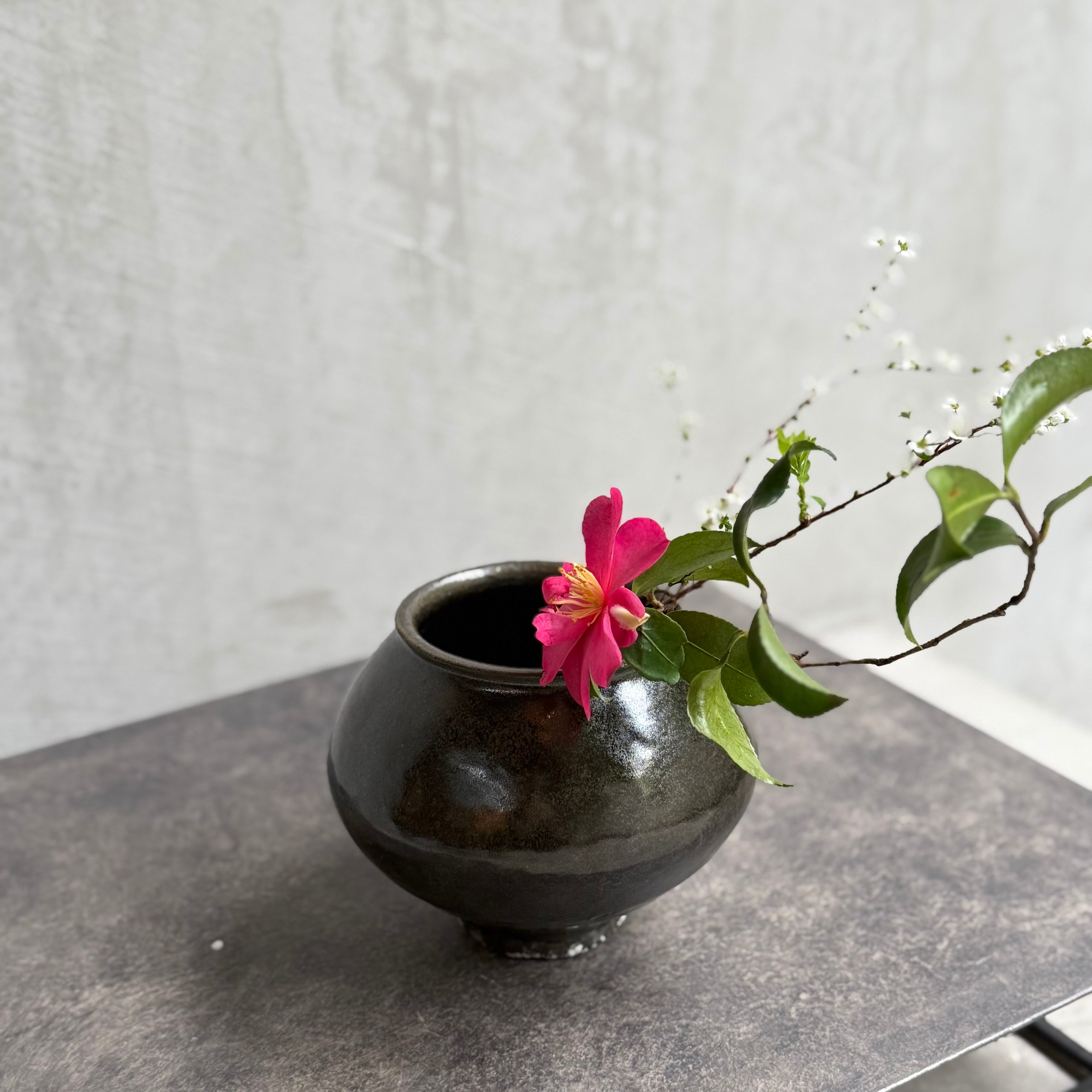 清水善行 黒釉塩笥 | gallery 一白