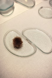 池谷三奈美｜型板 半月皿 ＜LOCAL GLASS CHAT＞