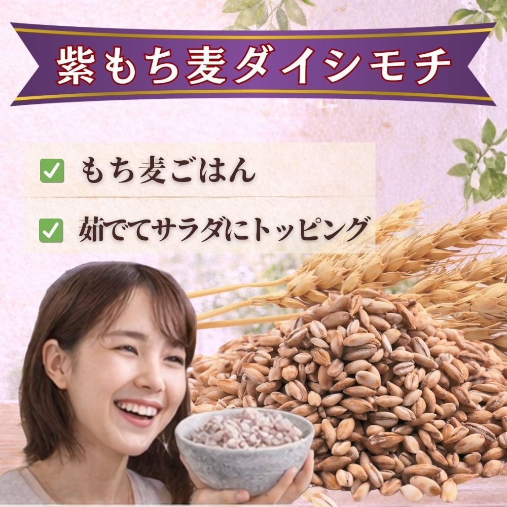 もち麦ダイシモチ 5kg 岡萬 新麦 令和8年産 ダイシモチ 5kg (5kg×1袋