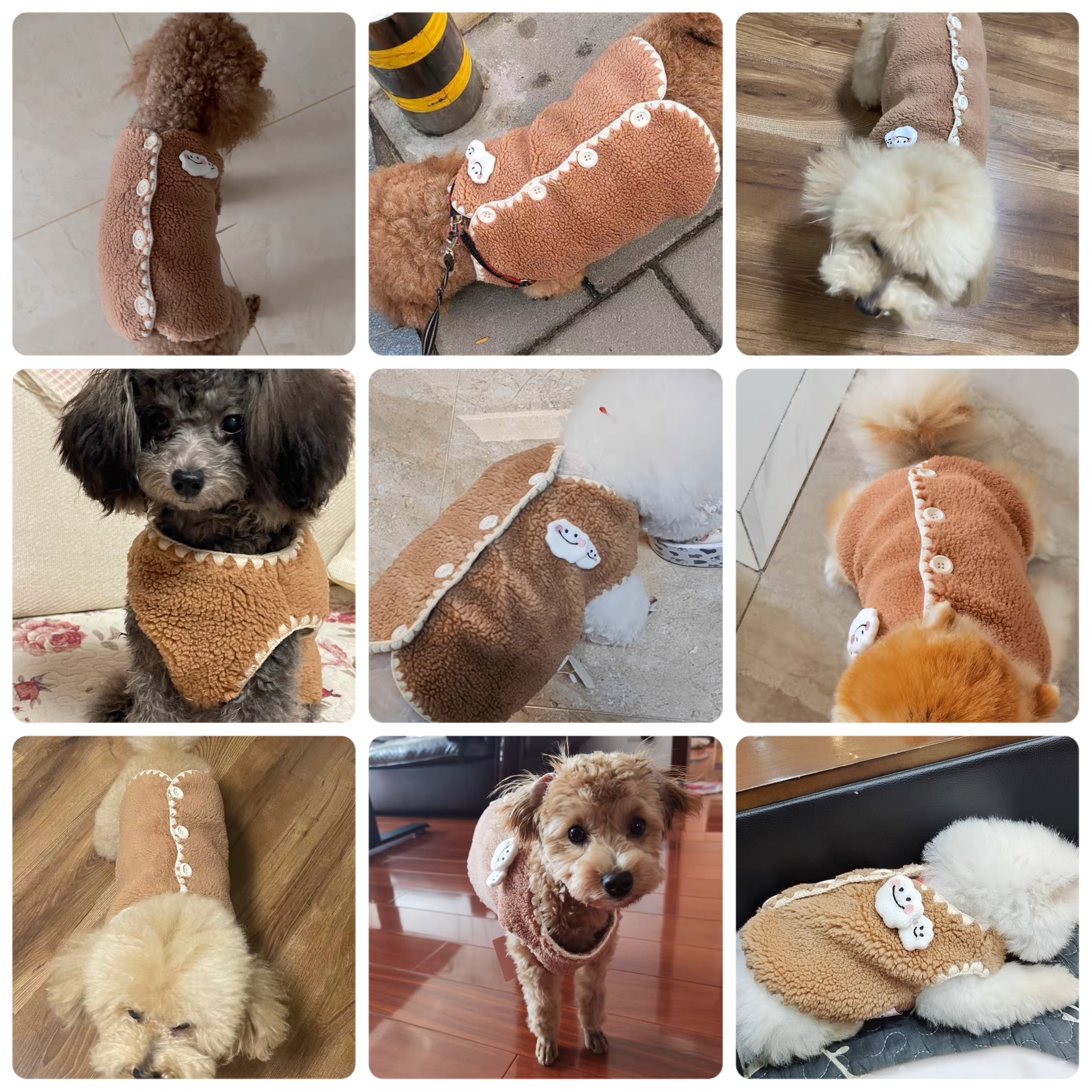 ペット用ラウンジベッド【ペッツファースト×FuzzYard特別