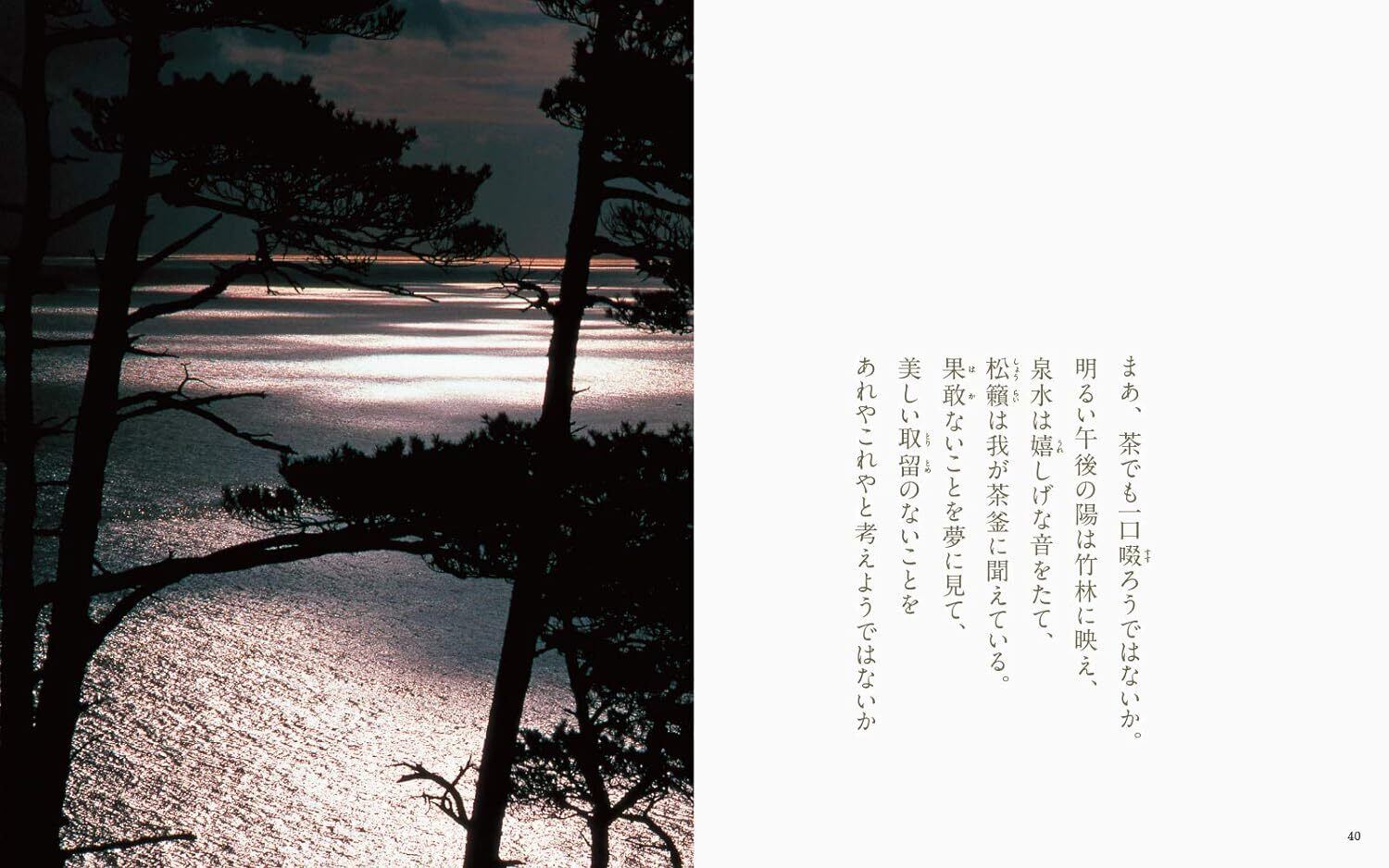 茶の本 | BOOKSHOP 本と羊 茶の本 | BOOKSHOP 本と羊