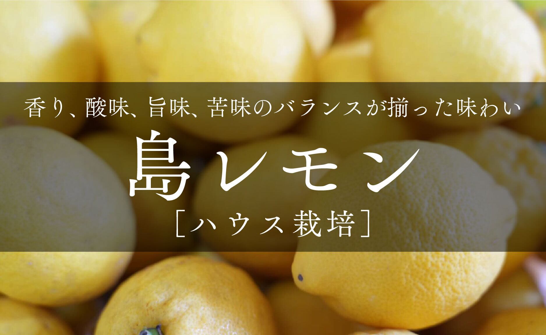 クール便】完熟島レモン（A品・夏シーズンレモン袋入り） 1kg〜20kg