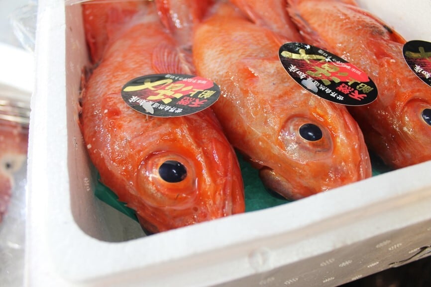 北海道産　ヤドリギ　特大！親木付き e2ebd8596159c9d91efdfe68827adf