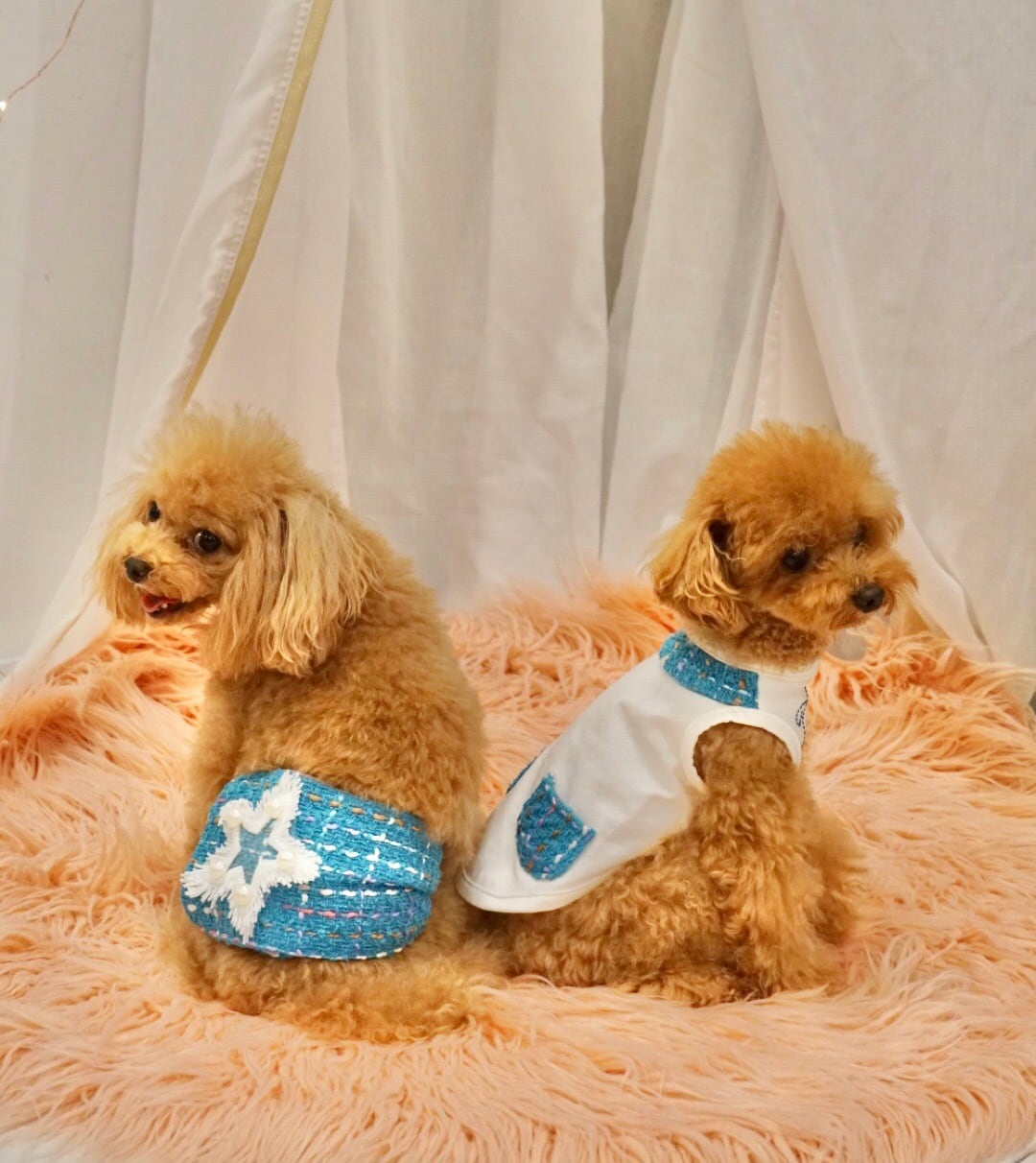 オレオ様♡専用ページ　パールリボン♡クリスマス　犬服ハンドメイド パールとリボンのネックレス ペットアクセサリー 首飾り 猫