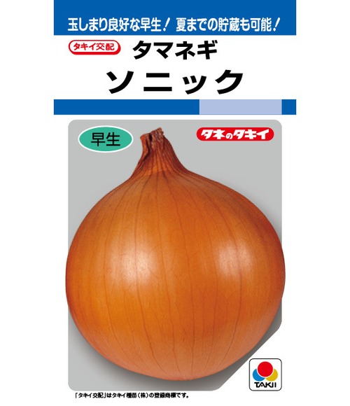 タマネギ「ソニック」（P１万粒） 画像