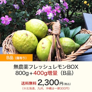無農薬フレッシュレモンBOX 800g+400g増量（B品）【5月下旬以降収穫予定分】