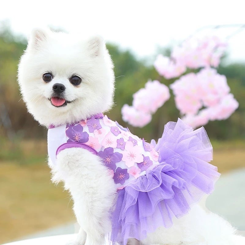 フリルワンピース チュール 花柄 春夏 花見 桜 女の子 犬服 ドッグ